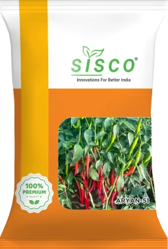 SISCO ARYAN-51