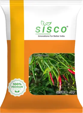SISCO-07