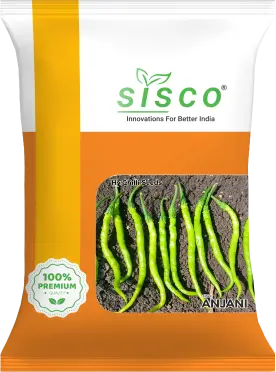 SISCO ANJANI