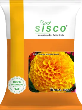 SISCO BENGAL KUSUM