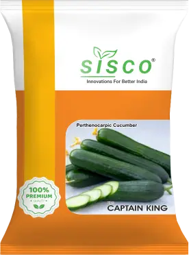 SISCO CAPTAIN KING