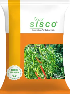 SISCO DIVYA