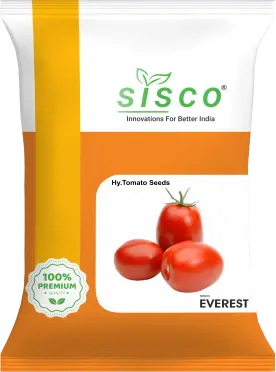 SISCO EVEREST
