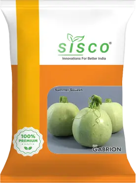 SISCO GABRION
