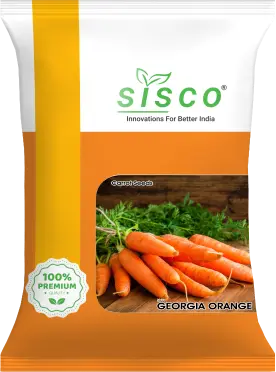 SISCO GEORGIA ORANGE
