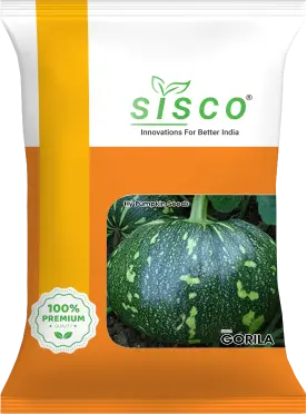SISCO GORILA