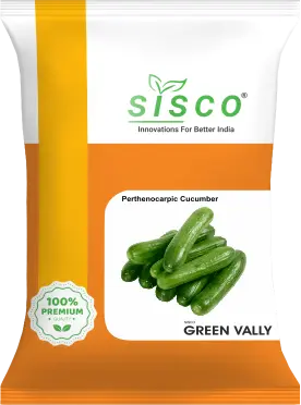 SISCO GREEN VALLY