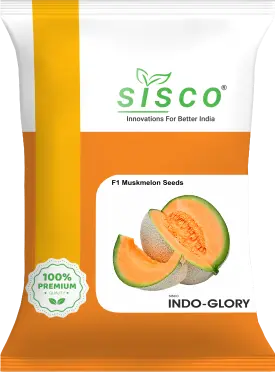SISCO INDO-GLORY