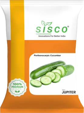 SISCO JUPITER