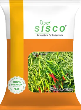 SISCO JWALAMUKHI