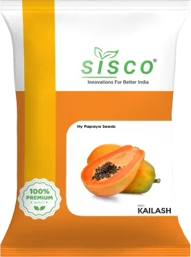 SISCO KAILASH