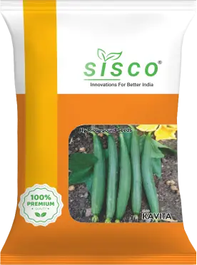 SISCO KAVITA