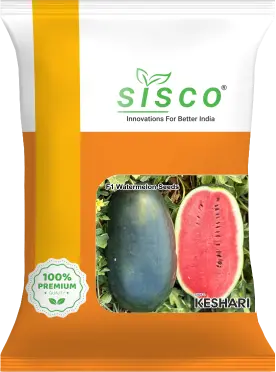 SISCO KESHRI