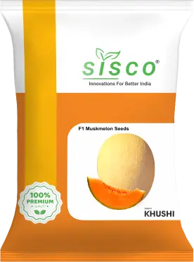 SISCO KHUSHI