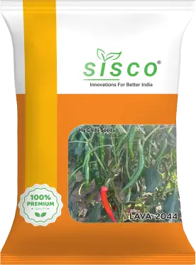 SISCO LAVA-2044