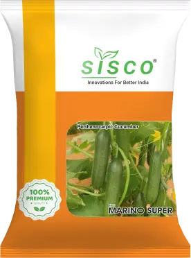 SISCO MARINO SUPER