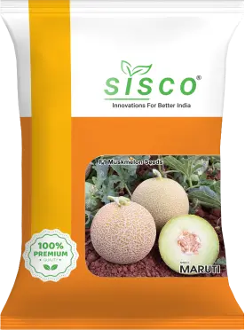 SISCO MARUTI