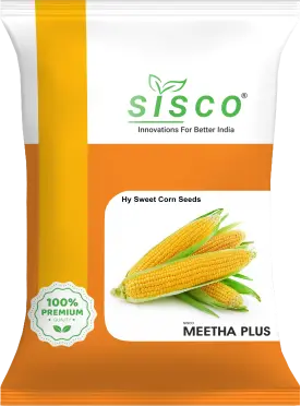 SISCO MEETHA PLUS