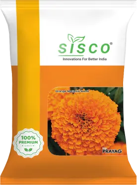 SISCO PRAYAG