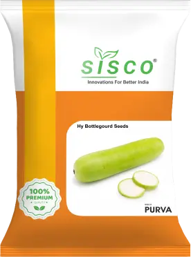 SISCO PURVA