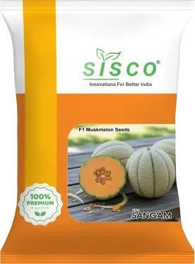 SISCO SANGAM