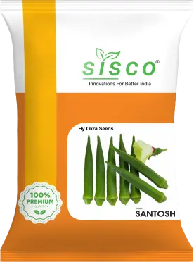 SISCO SANTOSH