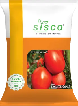 SISCO SARASWATI