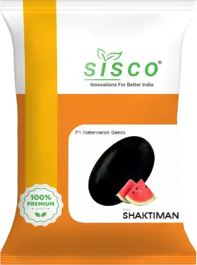 SISCO SHAKTIMAN