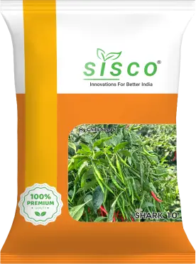 SISCO SHARK 10