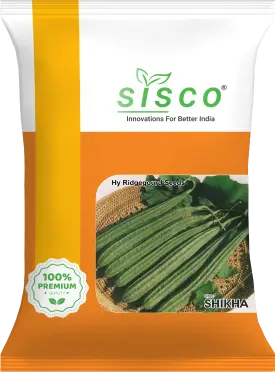 SISCO SIKHA