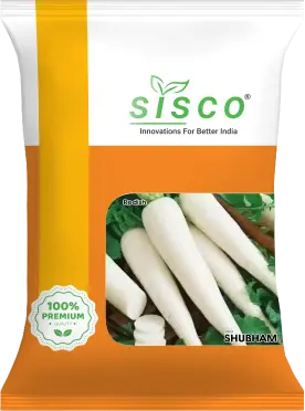 SISCO SHUBHAM