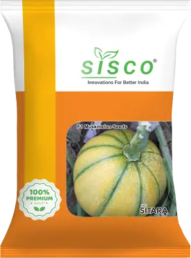 SISCO SITARA