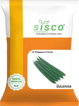 SISCO SULEKHA