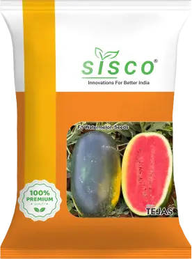 SISCO TEJAS