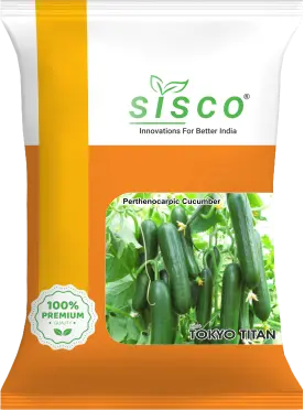 SISCO TOKYO TITAN