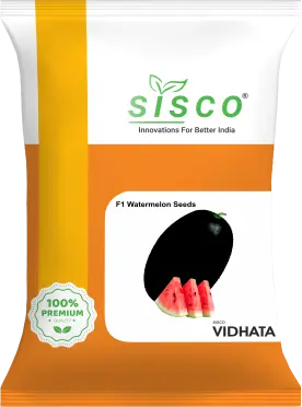 SISCO VIDHATA