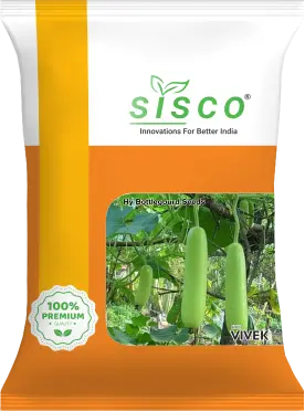 SISCO VIVEK