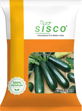 SISCO ZIBRALTER