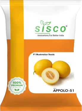 SISCO APPOLO-51