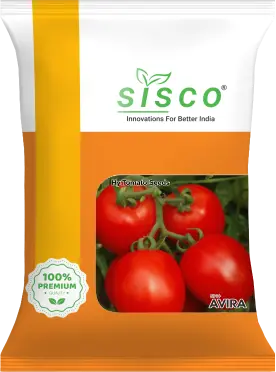 SISCO AVIRA