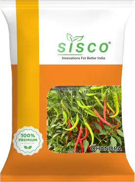 SISCO CHANDRA