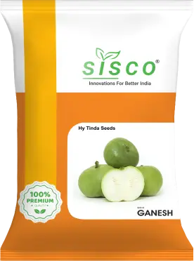 SISCO GANESH