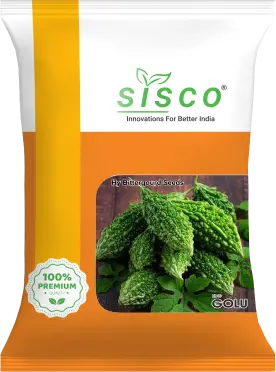 SISCO GOLU