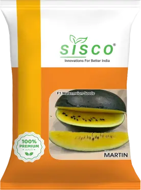 SISCO MARTIN