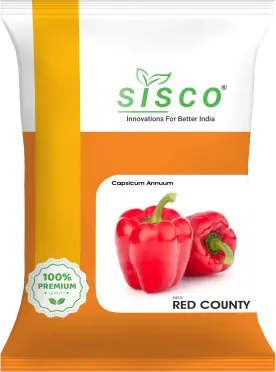 SISCO RED COUNTY