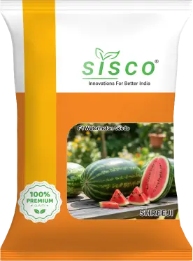 SISCO SHREEJI
