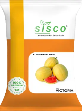 SISCO VICTORIA